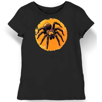 Koszulka damska czarna z motywem czarnej tarantuli w ciepłym świetle