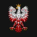 Koszulka damska czarna orzeł geometryczny patriotyczna dla niej, zdjęcie 2