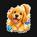 Koszulka z golden retrieverem dla chłopca czarna efekt naklejki, zdjęcie 2