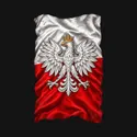 Koszulka patriotyczna dla dziecka dla chłopca czarna orzeł na fladze, zdjęcie 2
