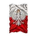Koszulka patriotyczna dla dziecka dla chłopca biała orzeł na fladze, zdjęcie 2