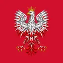 Koszulka męska czerwona orzeł geometryczny patriotyczna prezent, zdjęcie 2