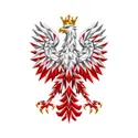 Koszulka męska biała orzeł geometryczny patriotyczna dla patrioty, zdjęcie 2