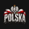 Koszulka męska czarna Polska orzeł kamienne litery patriotyczna prezent, zdjęcie 2