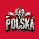 Koszulka męska czerwona Polska orzeł kamienne litery patriotyczna, zdjęcie 2