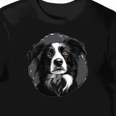 Koszulka męska czarna z motywem psa Border Collie