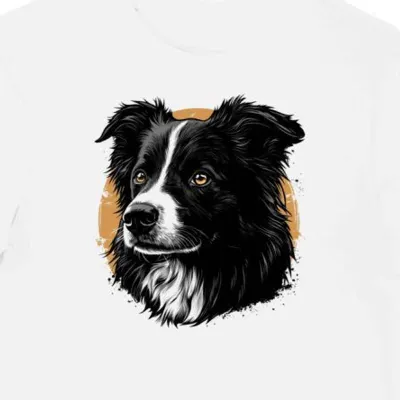 Koszulka męska biała z nadrukiem border collie