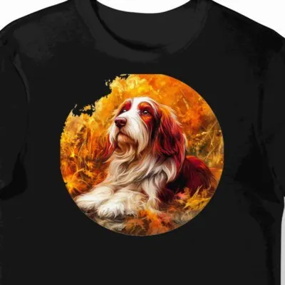 Koszulka męska czarna z motywem czerwonej brodatej collie
