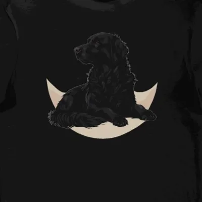 Koszulka męska czarna z nadrukiem Flat Coated Retriever