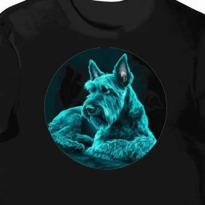Koszulka męska czarna z motywem teal Kerry Blue Terrier
