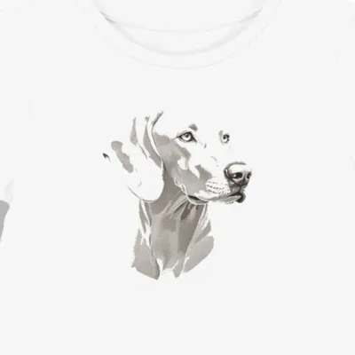 Koszulka damska biała z motywem Weimaranera