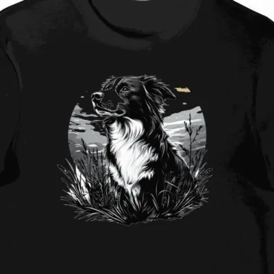 Koszulka męska czarna z motywem border collie na polu