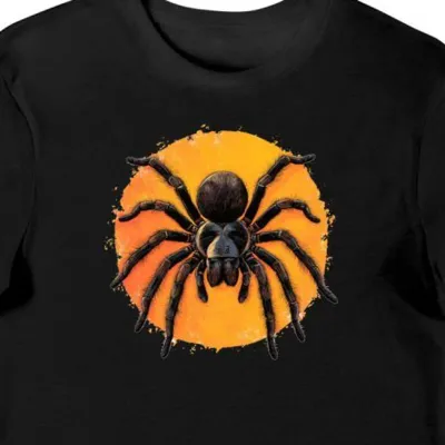 Koszulka męska czarna z motywem tarantuli w ciepłym blasku