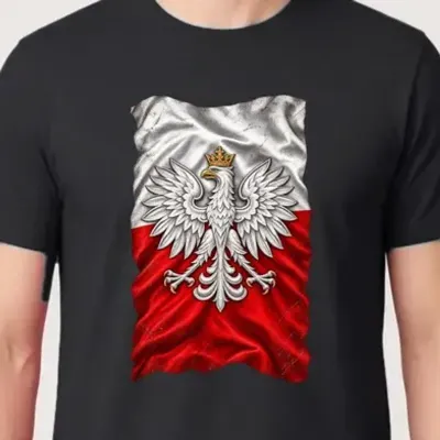 Koszulka męska czarna orzeł na fladze patriotyczna dla patrioty prezent